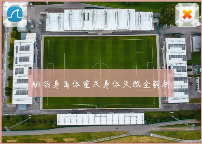 姚明身高体重及身体天赋全解析